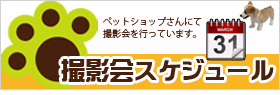撮影会のスケジュールを確認!