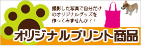 キキディポポのオリジナル商品